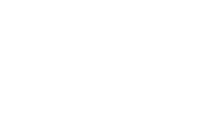Aleos Capital logo